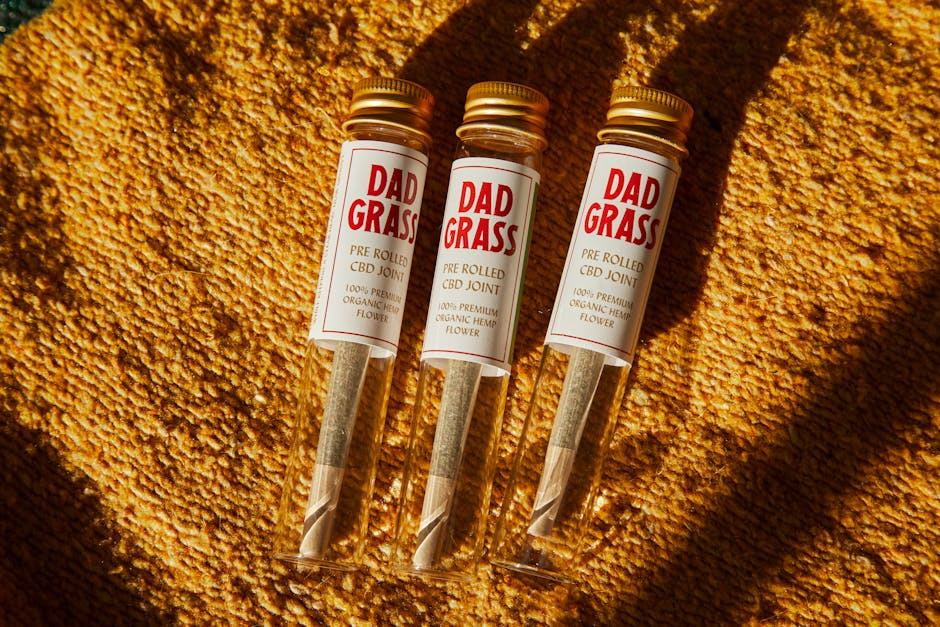 Notre savoir-faire : organiser des expos CBD en France